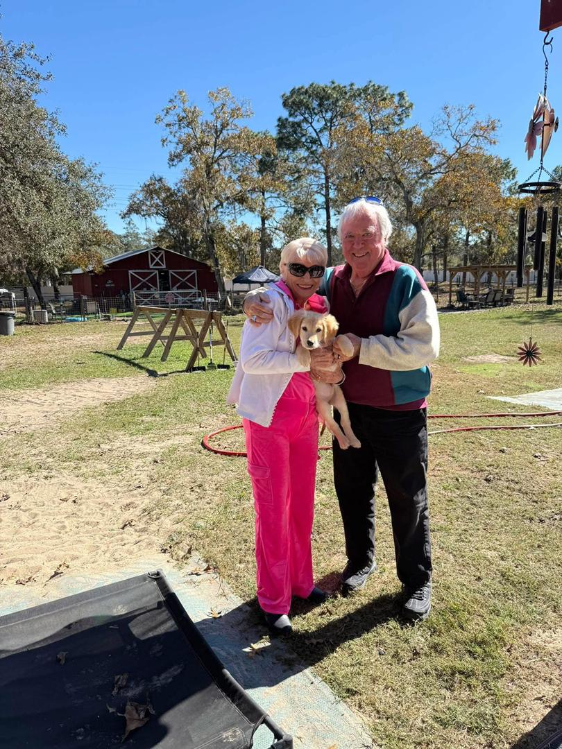 whatsapp image 2026 03 13 at 16.38.47 (1)