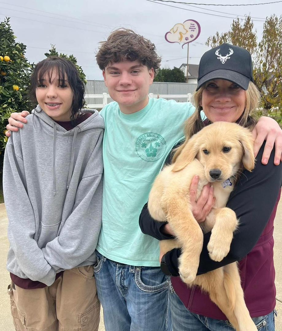 whatsapp image 2026 03 13 at 16.38.47 (2)