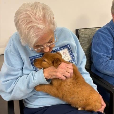 whatsapp image 2026 03 13 at 16.38.47