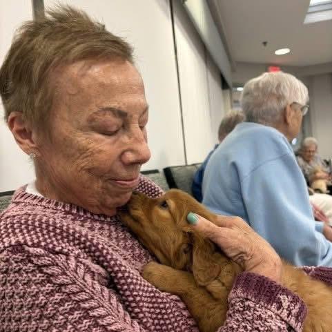 whatsapp image 2026 03 13 at 16.38.48 (1)