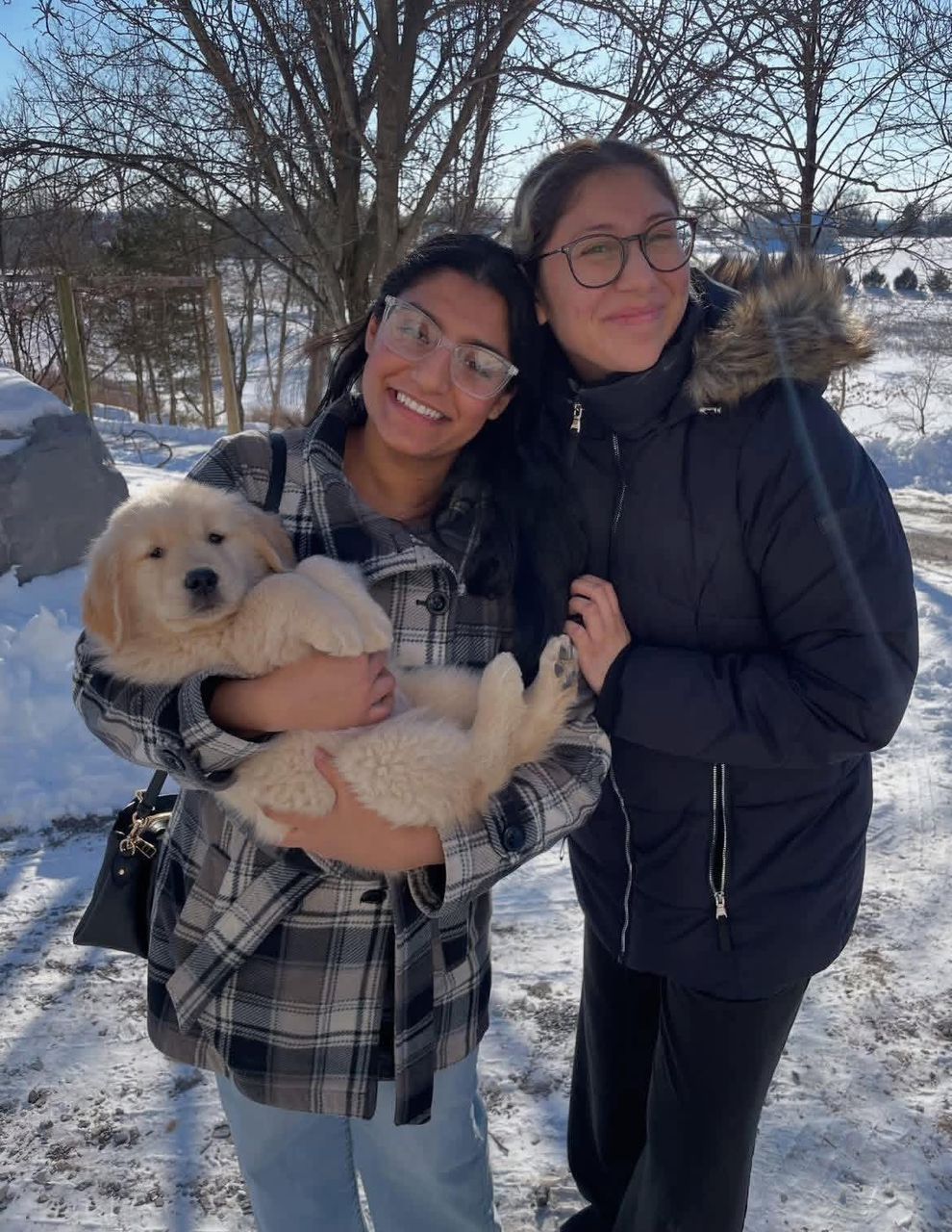 whatsapp image 2026 03 13 at 16.38.50 (2)