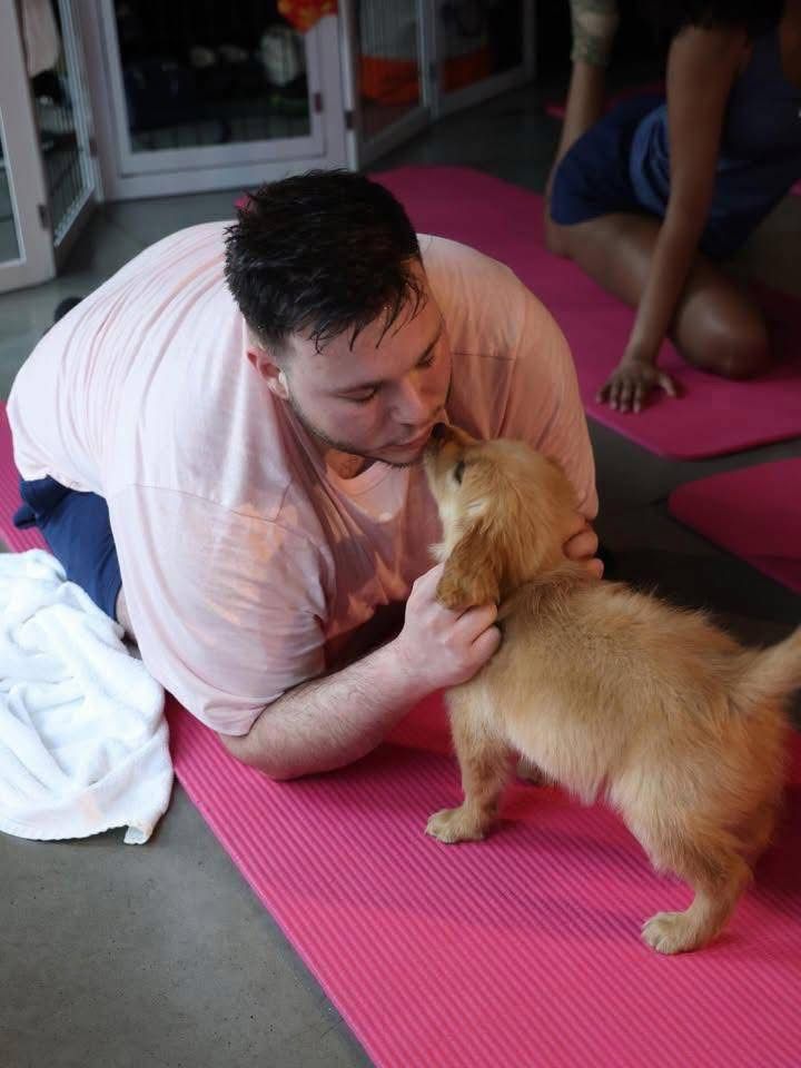 whatsapp image 2026 03 13 at 16.38.50 (4)