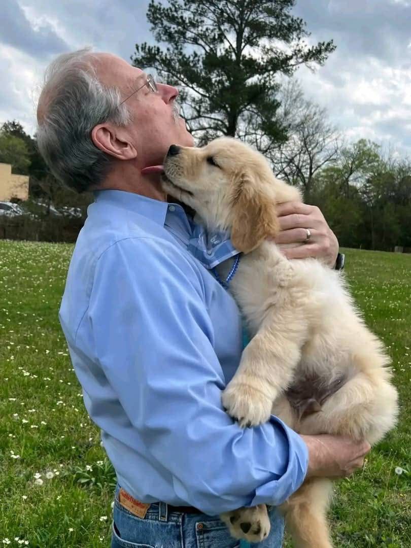 whatsapp image 2026 03 13 at 16.38.50