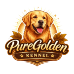 chatgpt image mar 12 2026 12 58 55 pm removebg preview