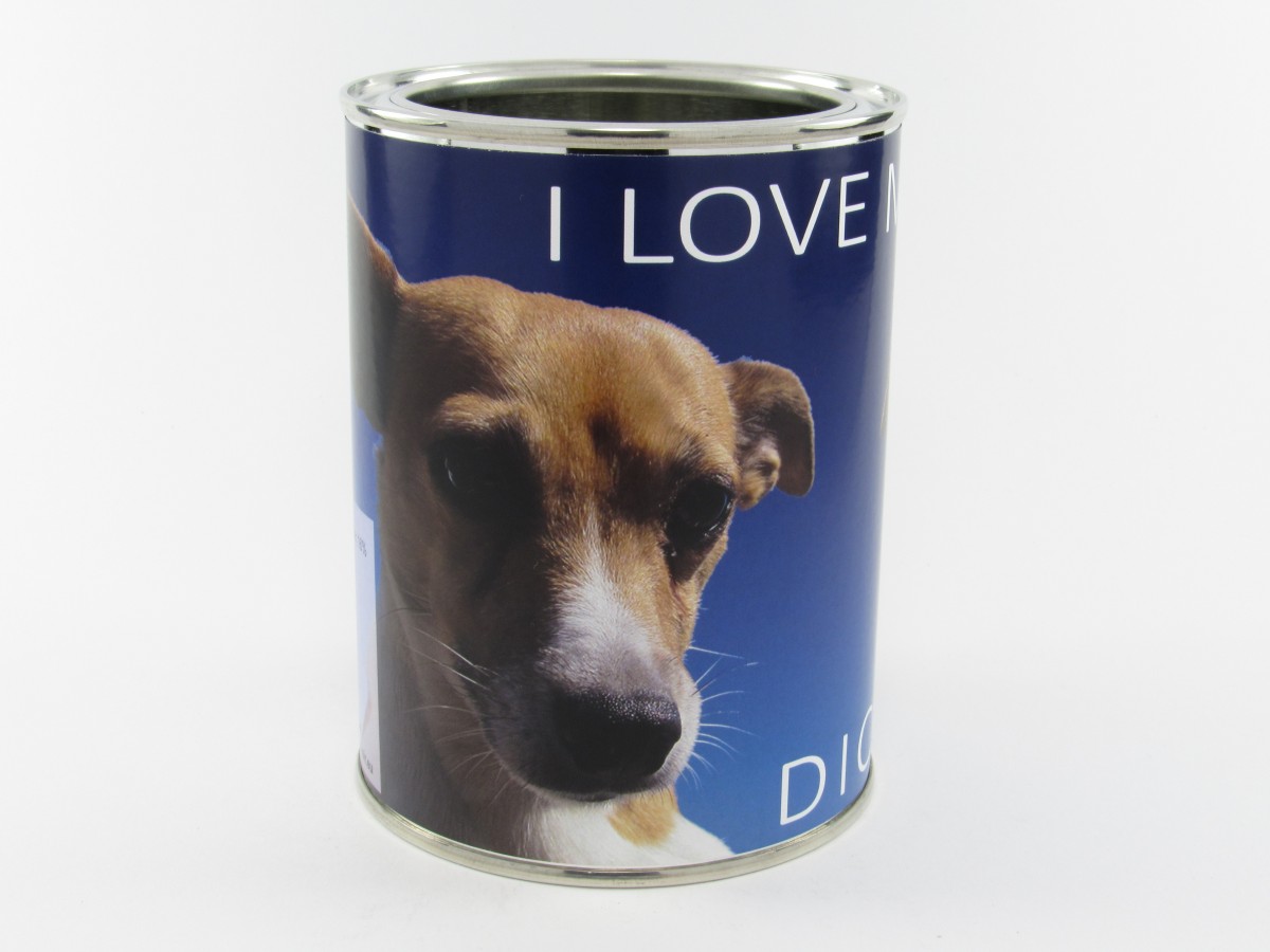 puregoldenkennel.com